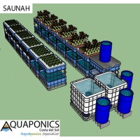 saunah