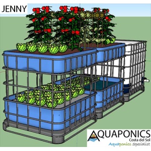 jenny_01